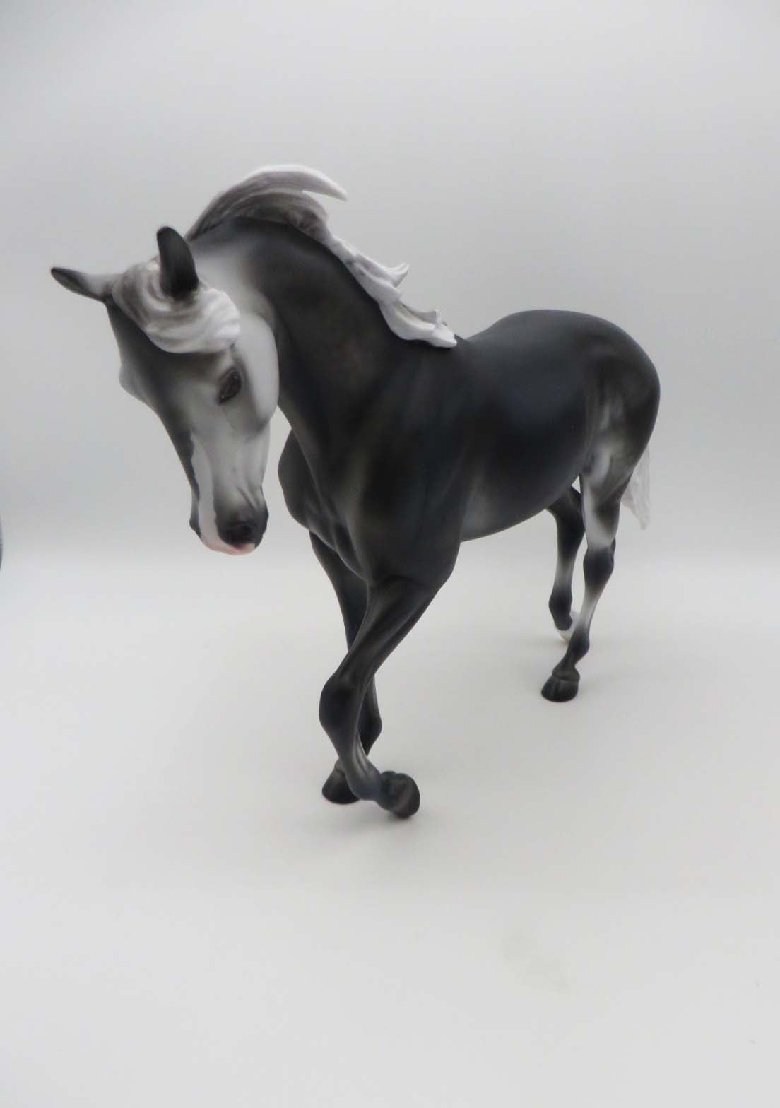 A Thundering Young Black Going Grey Thoroughbred By Ashley Palmer SHCF23