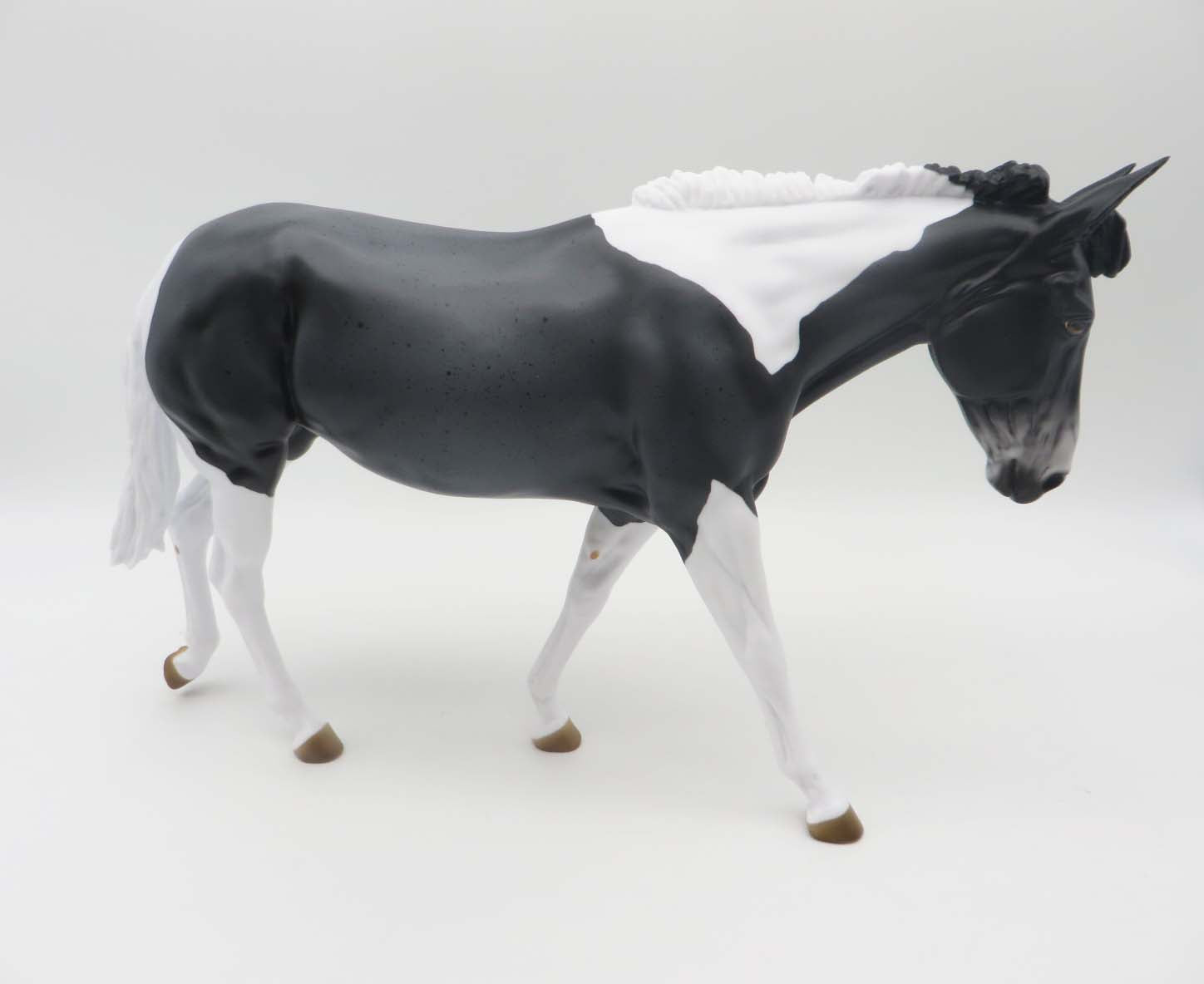 Abigail LE 5 Blue Roan Tobiano Mule By Angela Marleau SHCF23