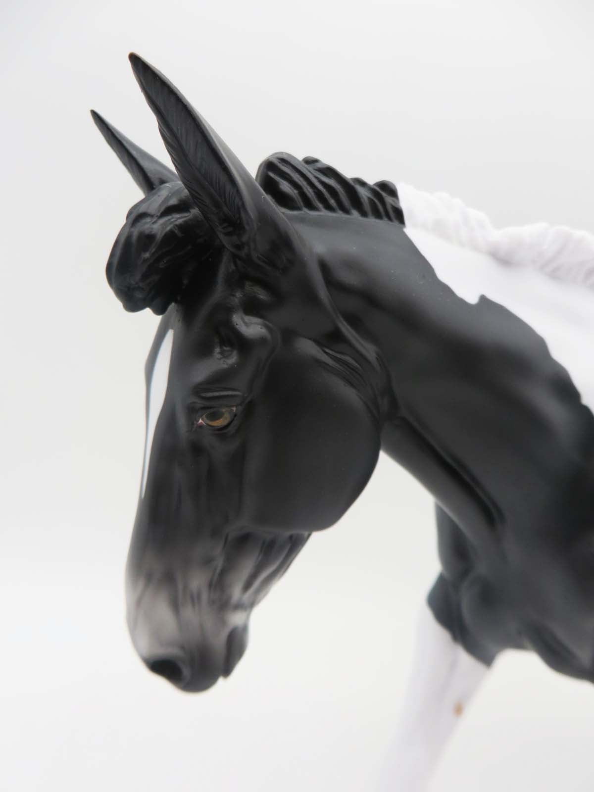 Abigail LE 5 Blue Roan Tobiano Mule By Angela Marleau SHCF23