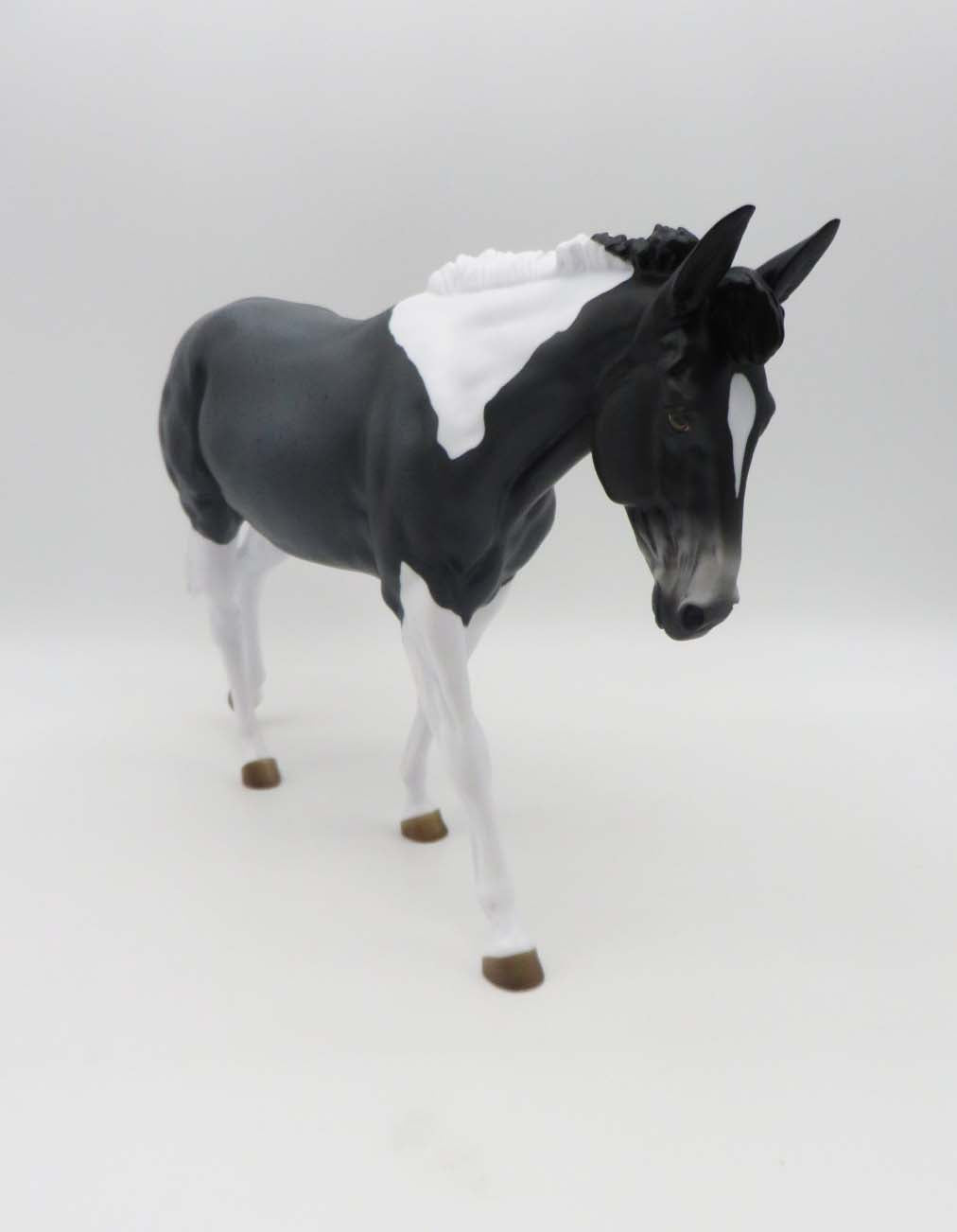 Abigail LE 5 Blue Roan Tobiano Mule By Angela Marleau SHCF23