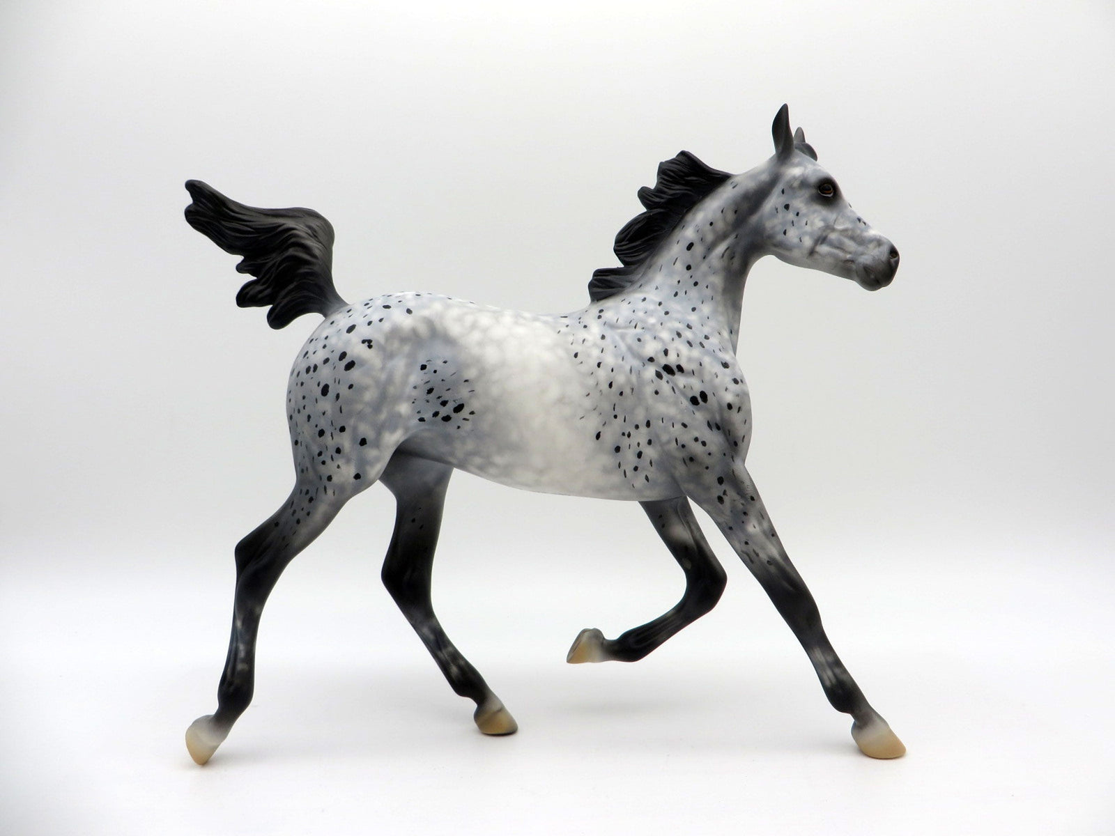 Abolone-OOAK Appaloosa Yearling Equilocity 2021 Painted by Al