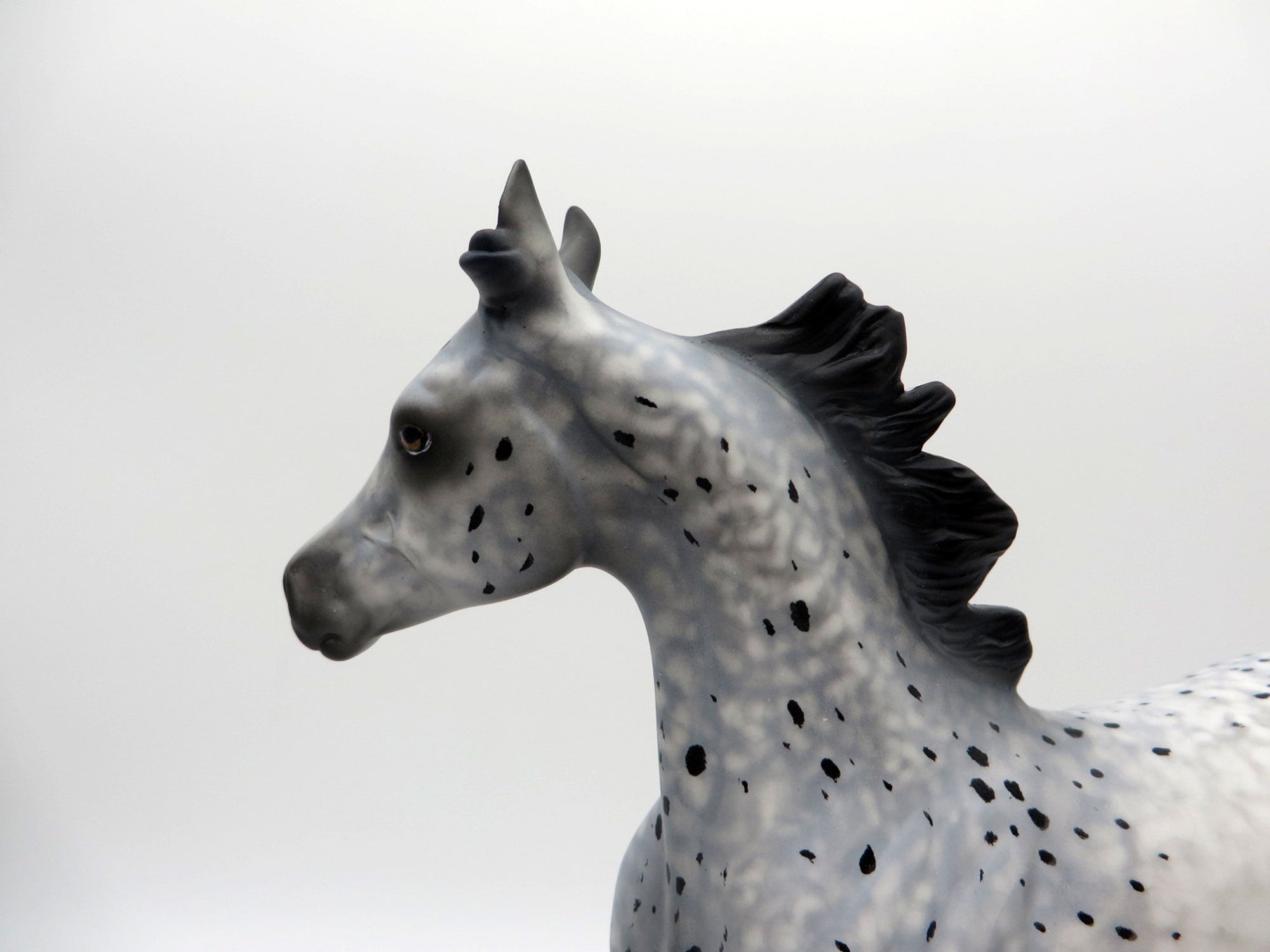 Abolone-OOAK Appaloosa Yearling Equilocity 2021 Painted by Al