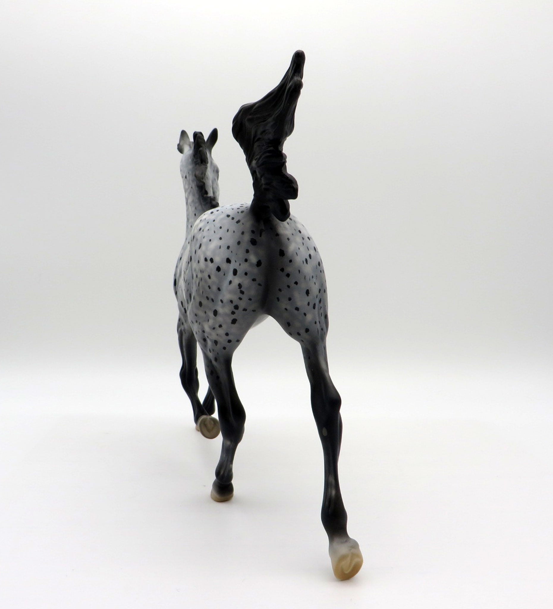 Abolone-OOAK Appaloosa Yearling Equilocity 2021 Painted by Al