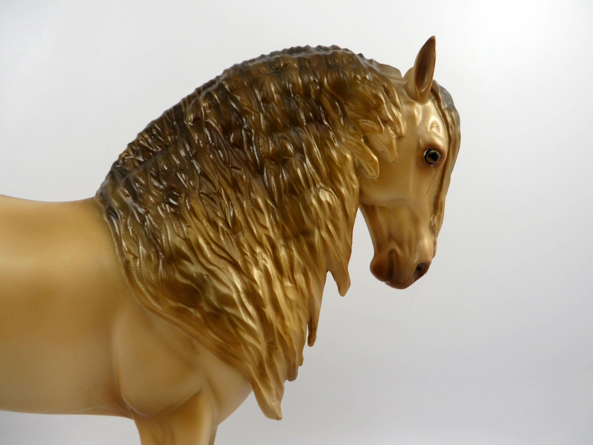 Accolade-OOAK Champagne Andalusian Bingo 3/21