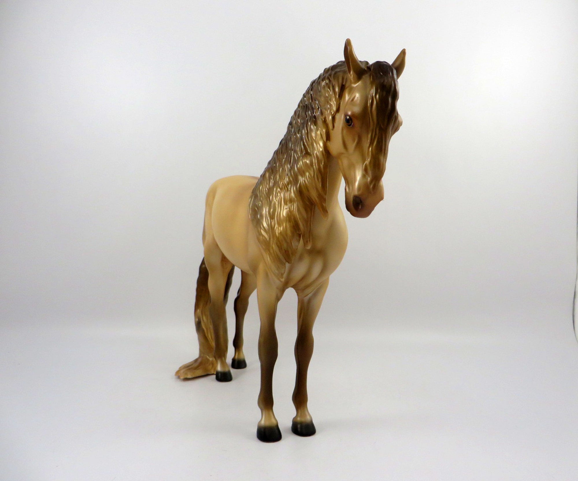 Accolade-OOAK Champagne Andalusian Bingo 3/21
