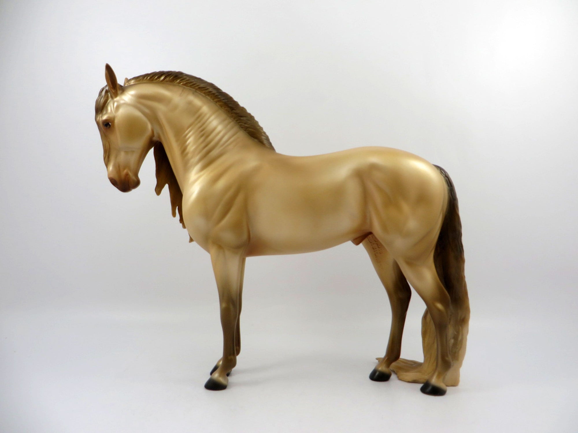 Accolade-OOAK Champagne Andalusian Bingo 3/21