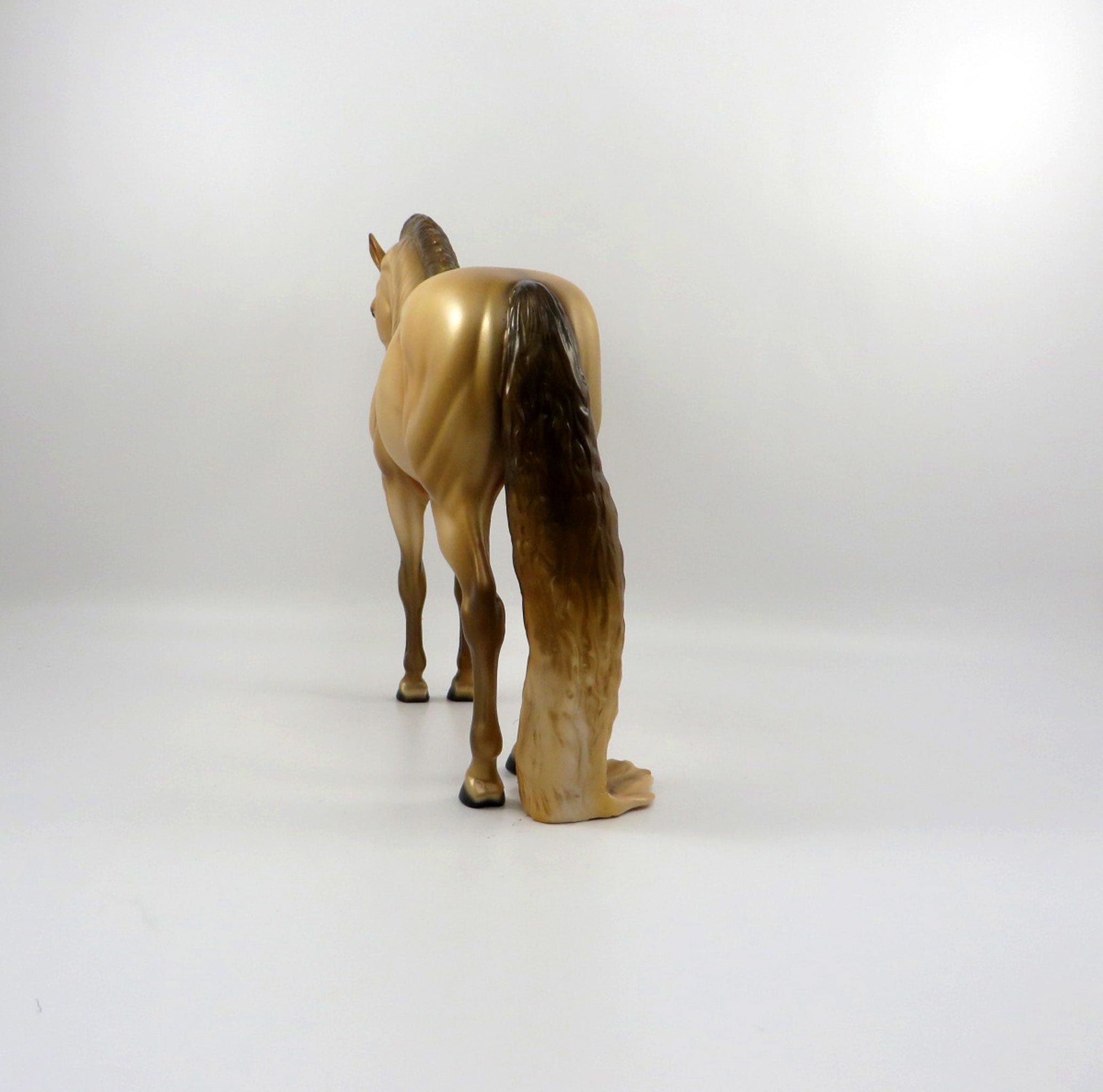 Accolade-OOAK Champagne Andalusian Bingo 3/21