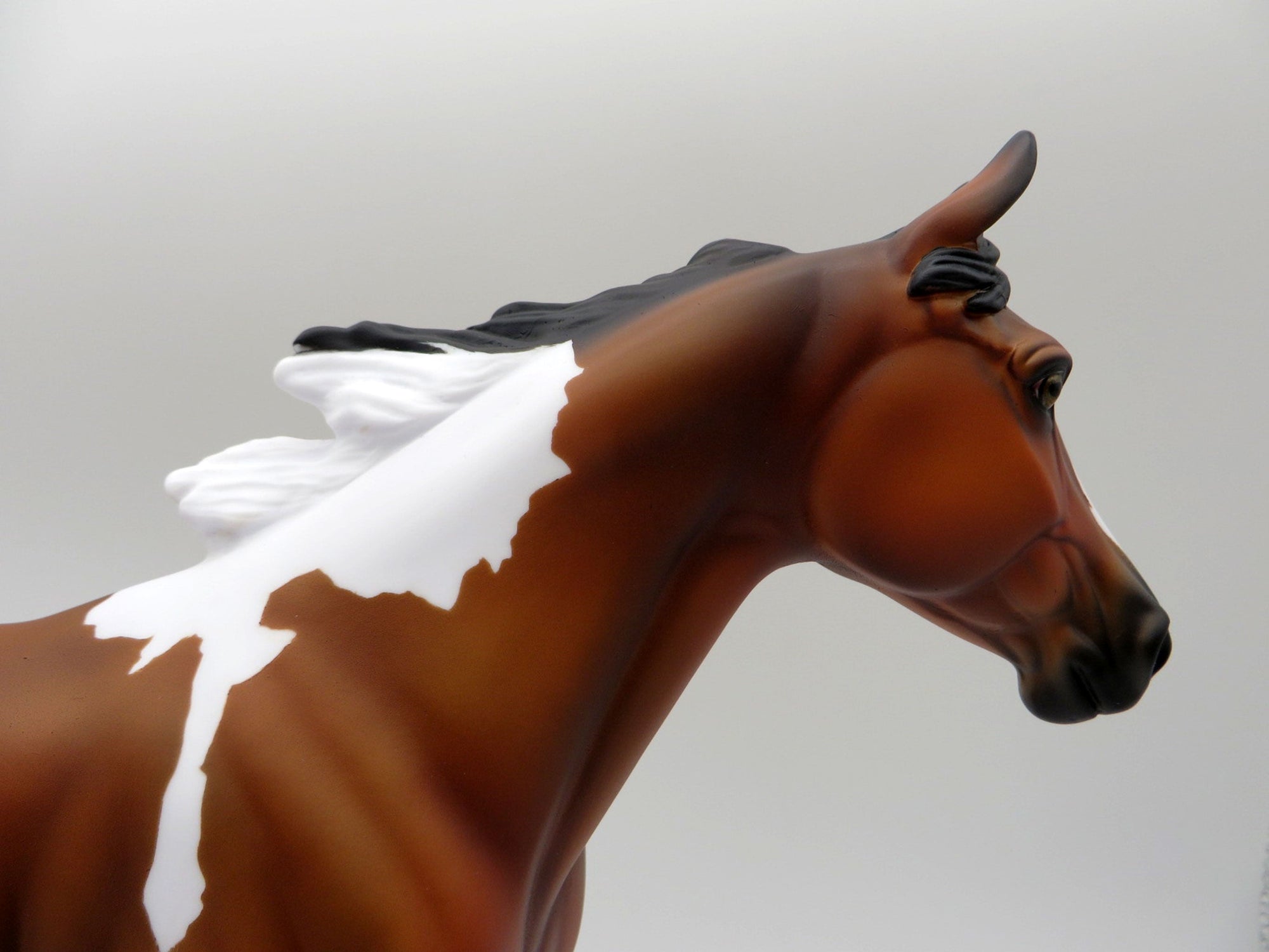 Aeolin-LE-5 Bay Paint Palouse 5/21/21