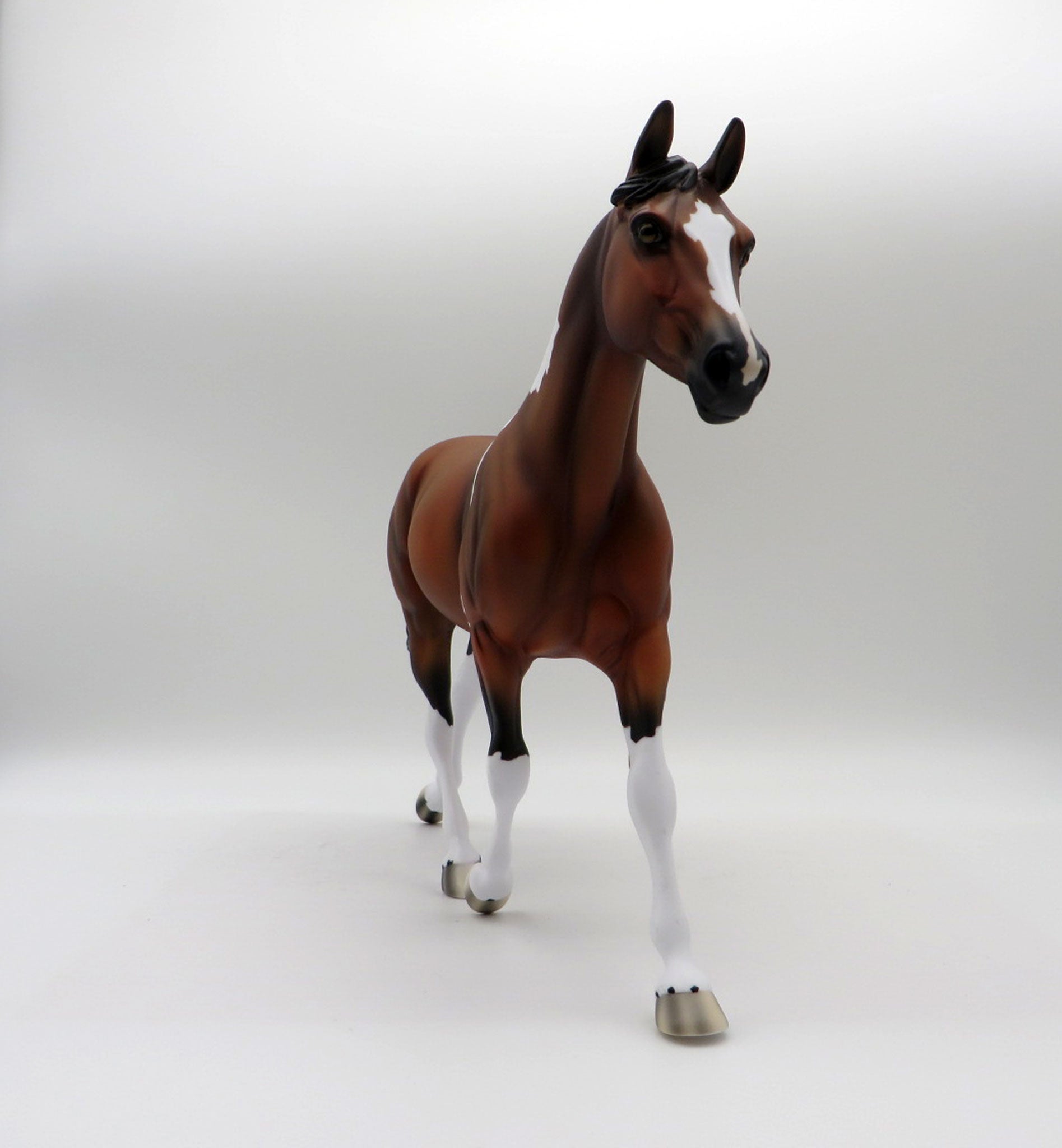 Aeolin-LE-5 Bay Paint Palouse 5/21/21