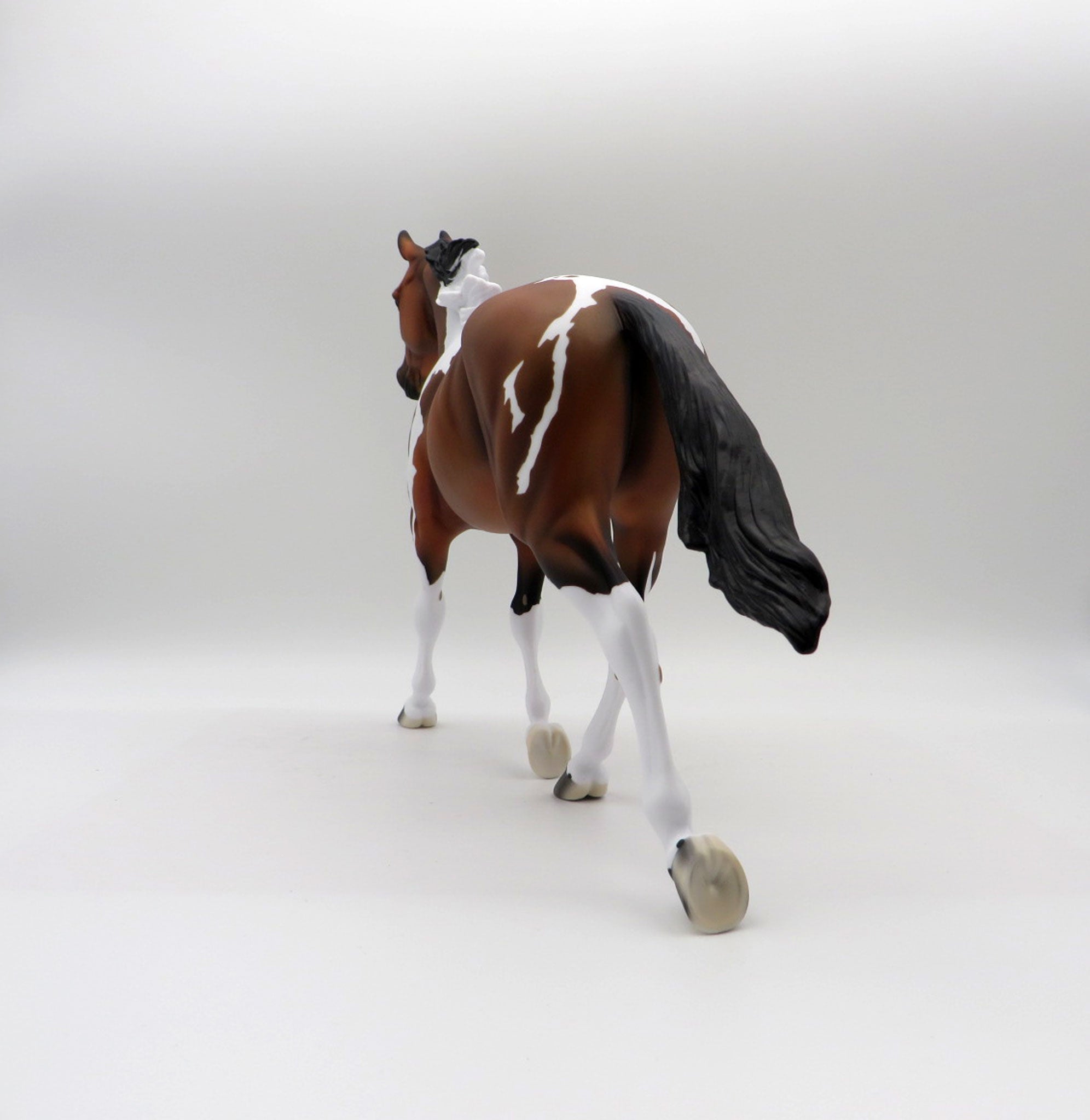 Aeolin-LE-5 Bay Paint Palouse 5/21/21