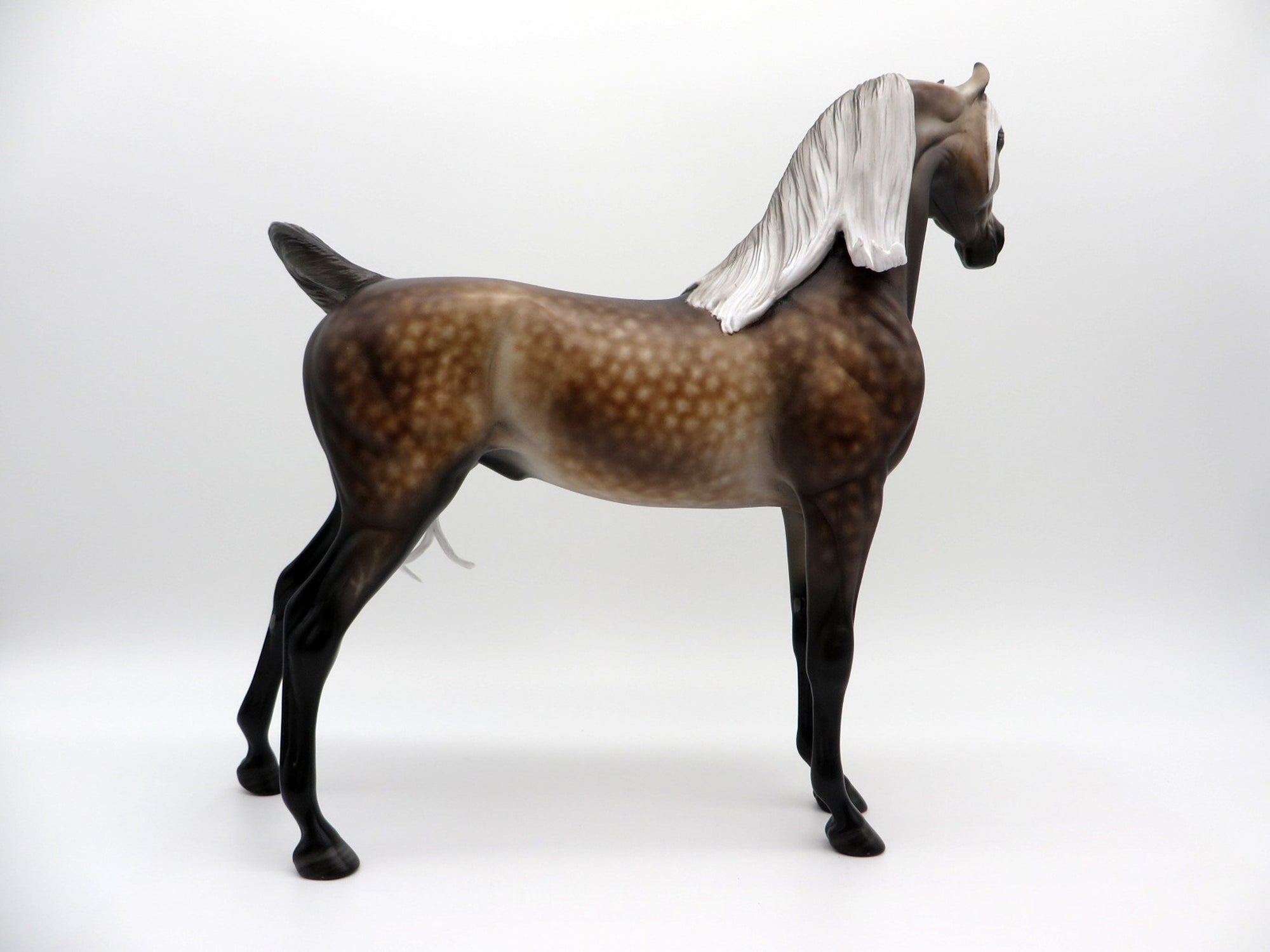 Aeryn-OOAK Rose Grey Arabian 3/29/21