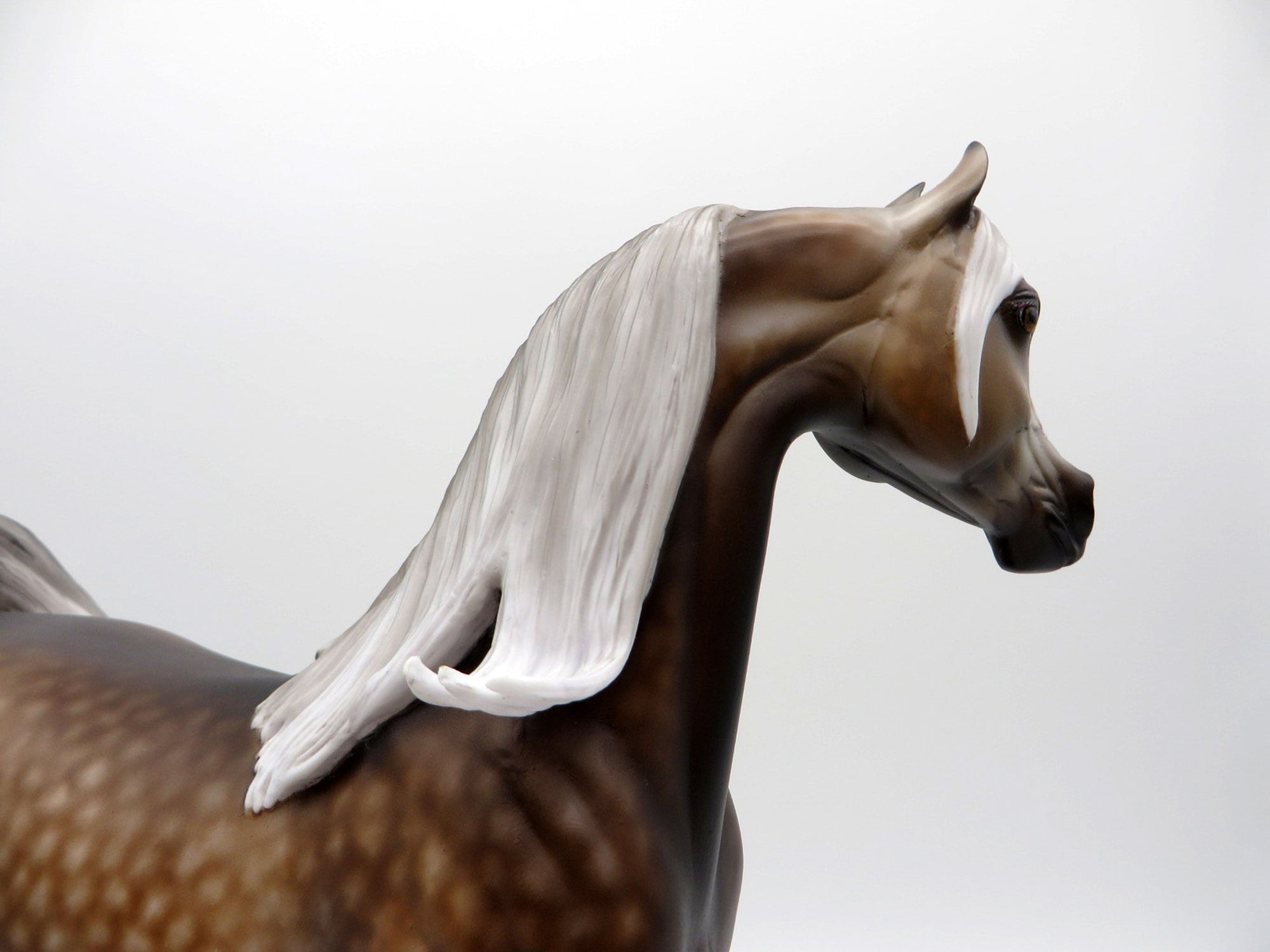 Aeryn-OOAK Rose Grey Arabian 3/29/21