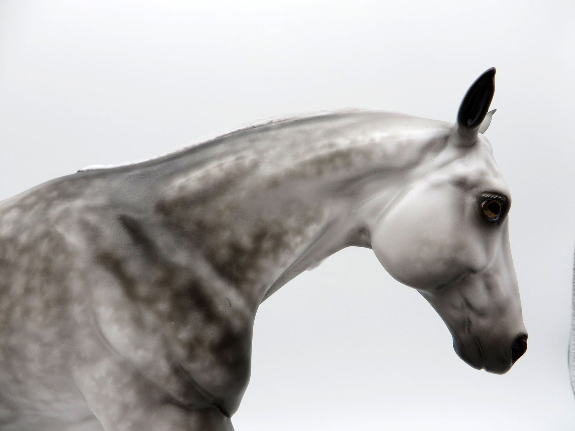Against All Odds-OOAK Star Dapple Grey Running Stock Horse Painted By Sheryl Leisure 7/19/21
