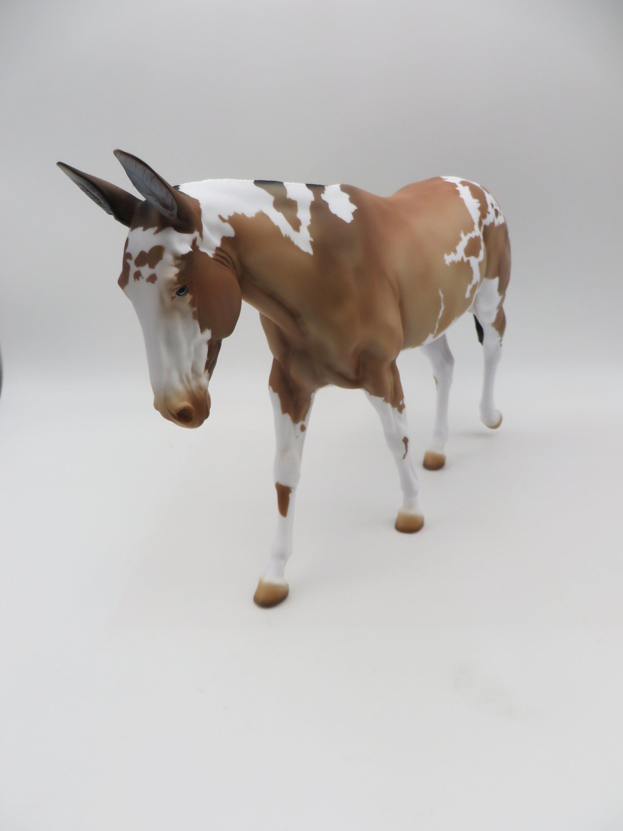 Aggie OOAK Pinto Mule By Donna Fredley SHCF 23