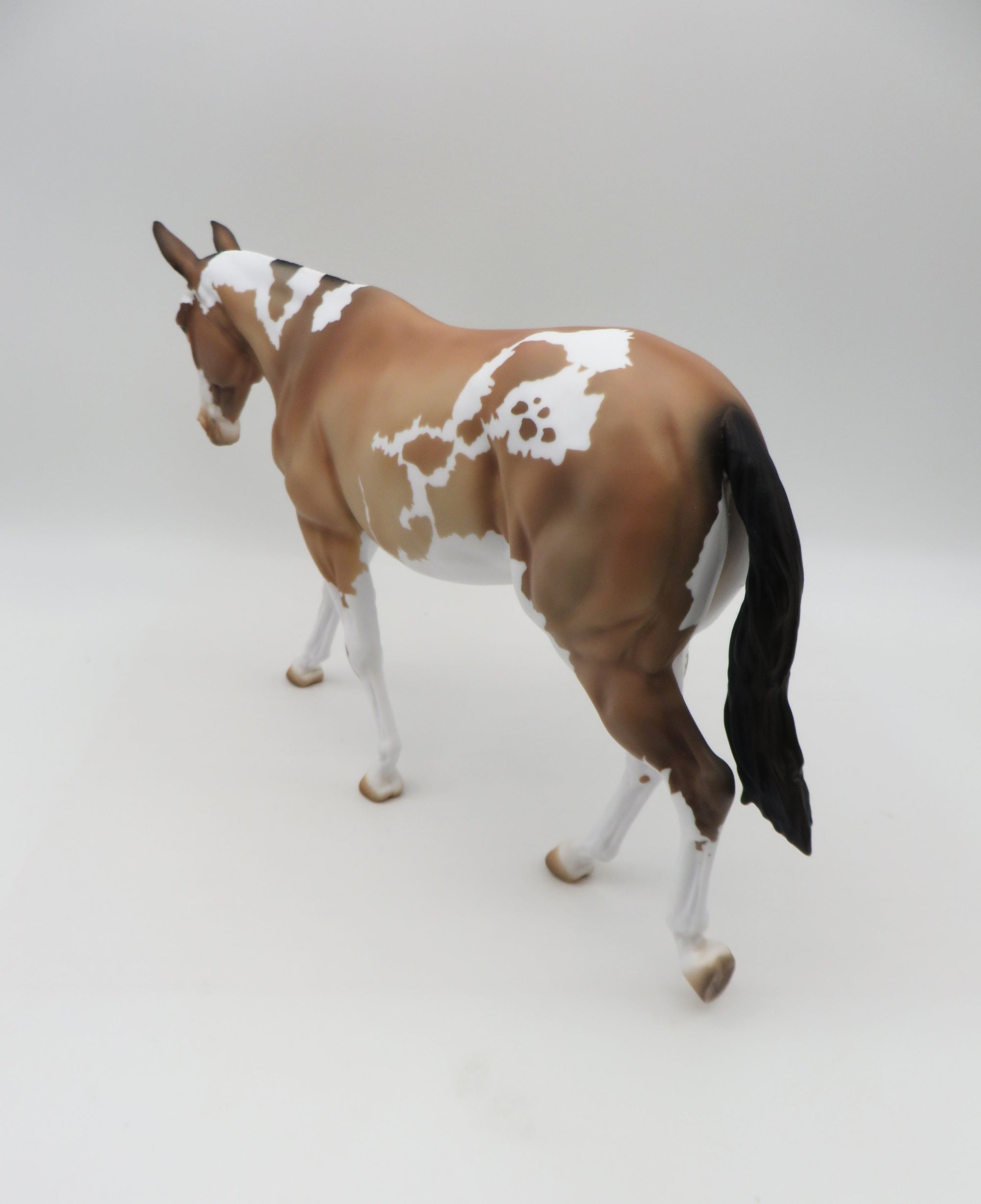 Aggie OOAK Pinto Mule By Donna Fredley SHCF 23