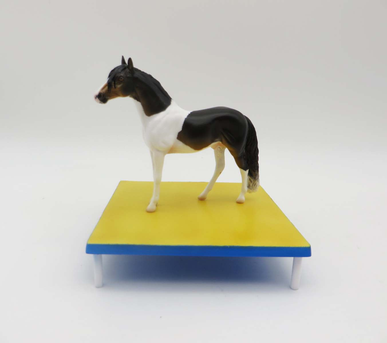 Paws &amp; Claws 2023 Agility Set - Chip and Accessories Set by Stone Artists - Best Offers Paws &amp; Claws 2023 - P&amp;C 23