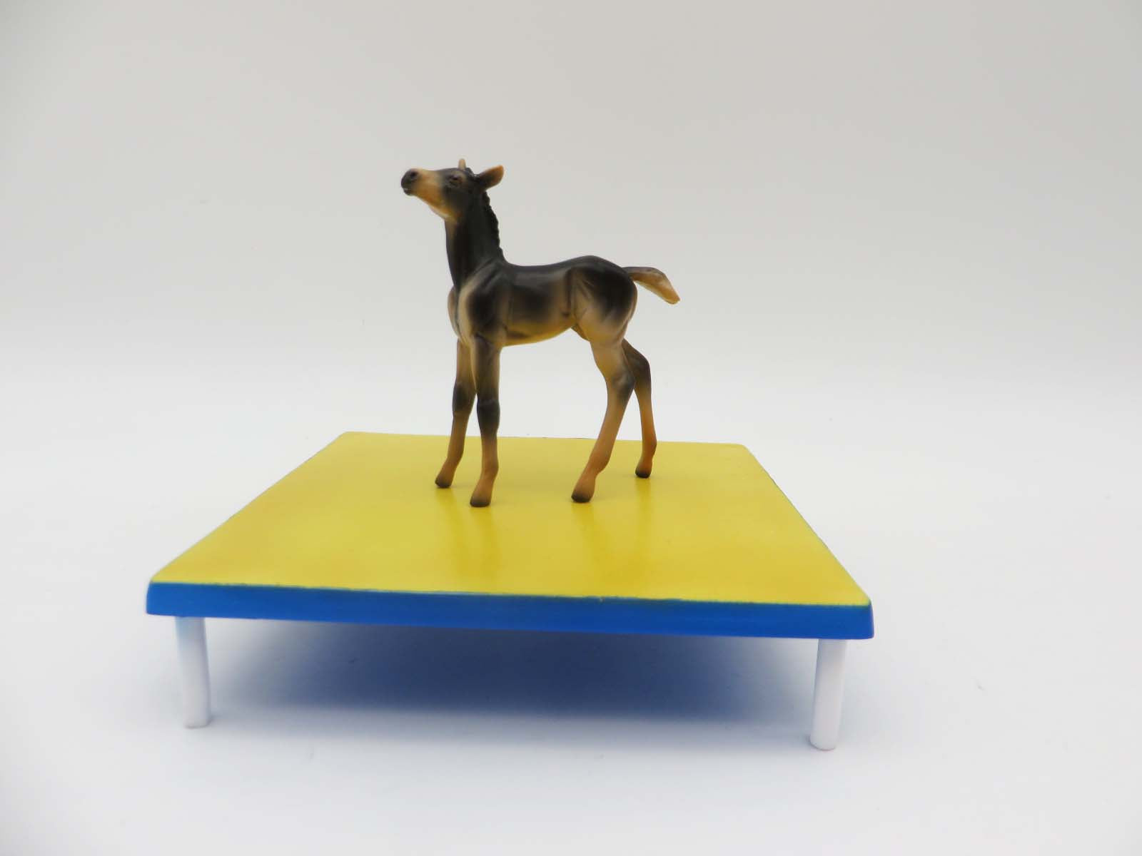 Paws &amp; Claws 2023 Agility Set - Chip and Accessories Set by Stone Artists - Best Offers Paws &amp; Claws 2023 - P&amp;C 23