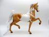 Aquila-OOAK Palomino Pinto Saddlebred  SHCF 2021