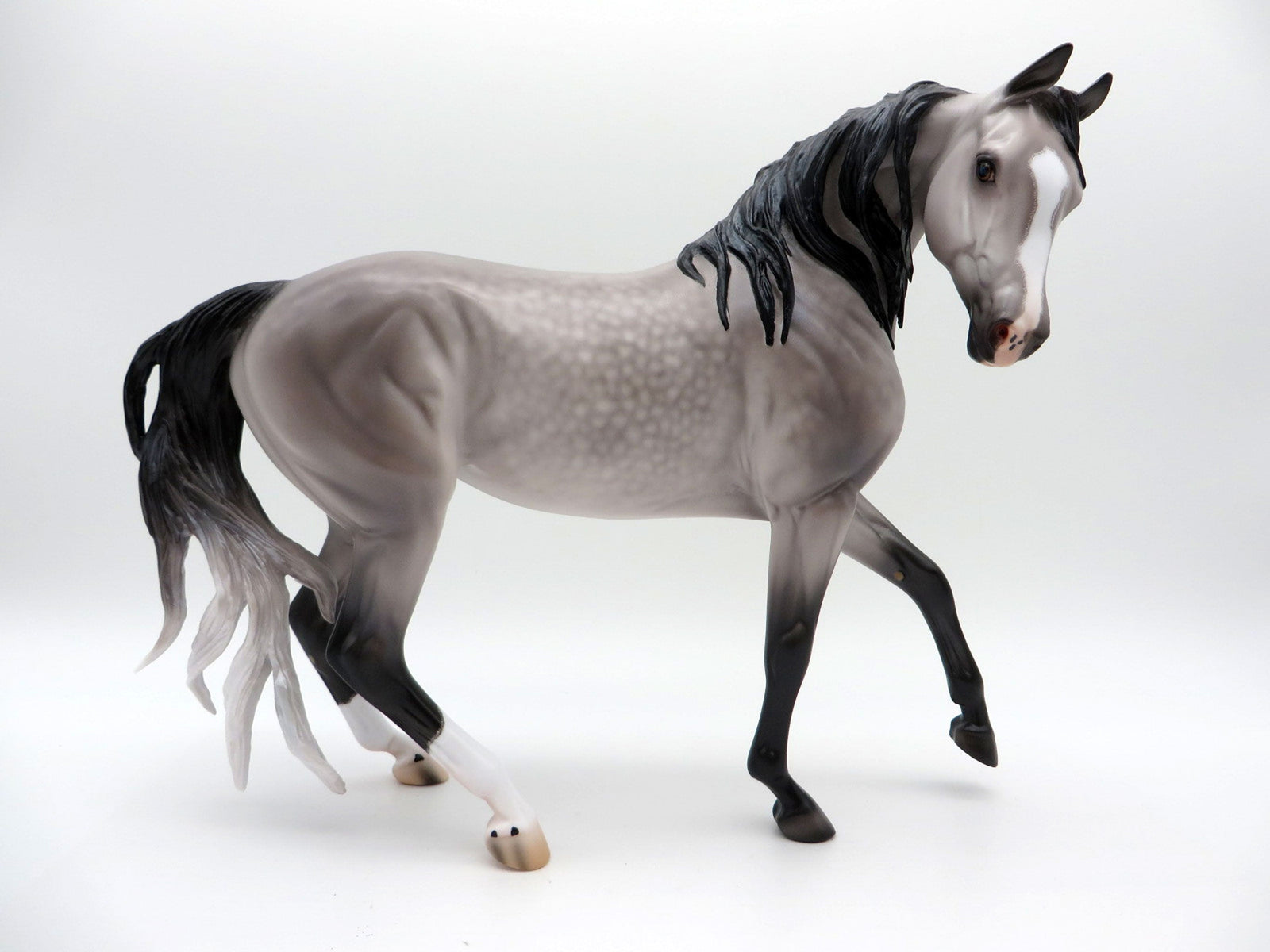 Augusta- OOAK Dapple Grey Arabian Mare Painted By Caroline Boydston 7/12/21