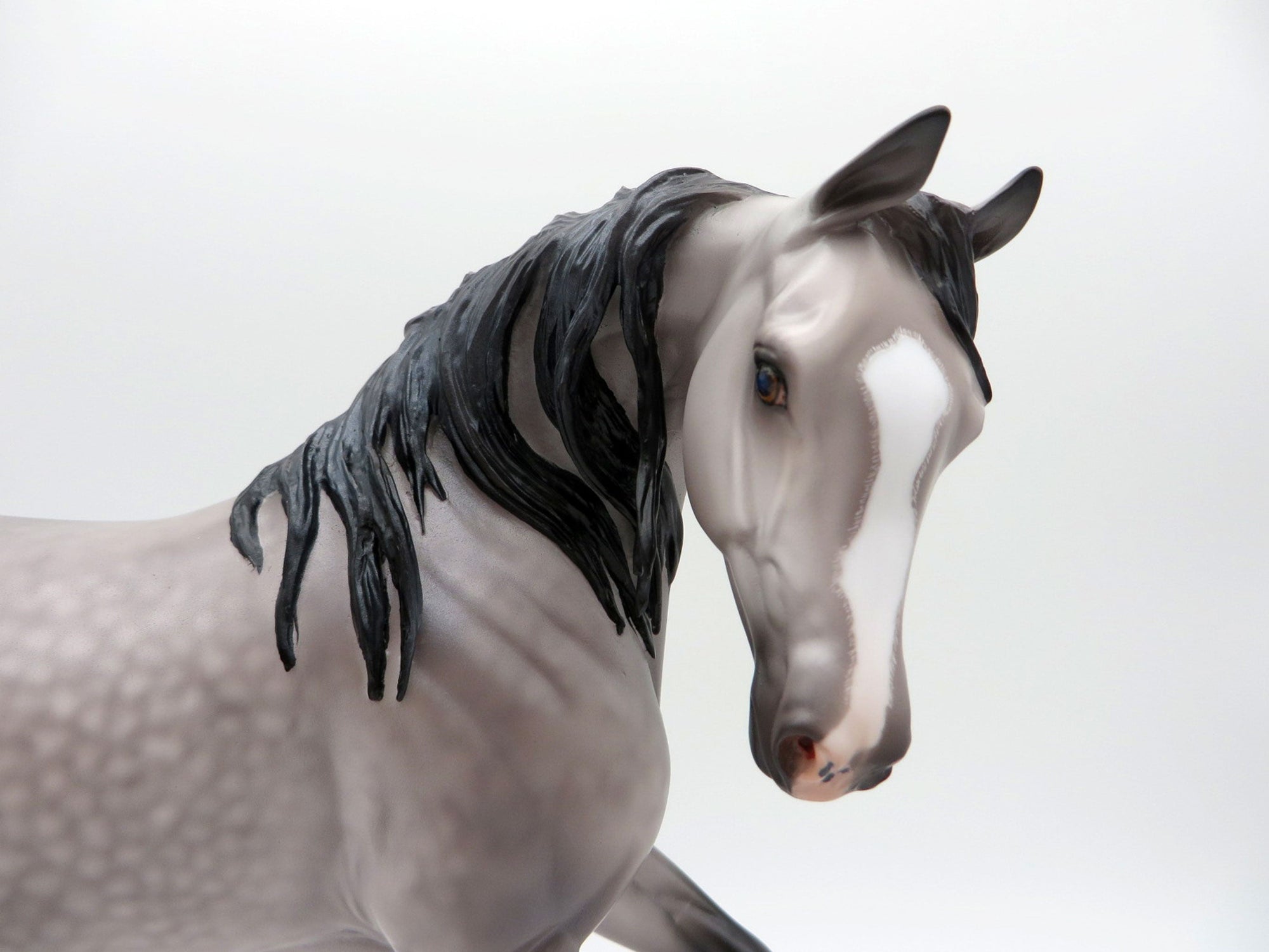 Augusta- OOAK Dapple Grey Arabian Mare Painted By Caroline Boydston 7/12/21