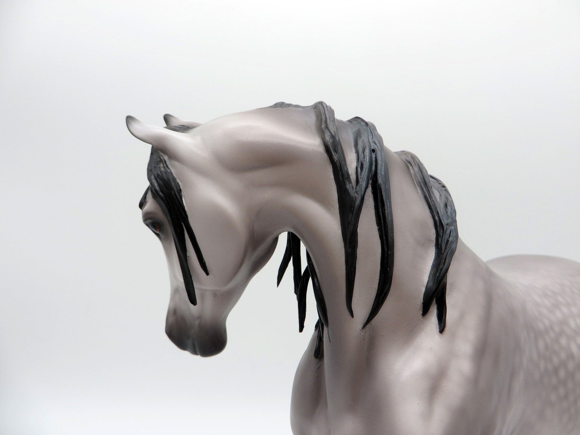 Augusta- OOAK Dapple Grey Arabian Mare Painted By Caroline Boydston 7/12/21