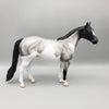 Ajax - OOAK - Blue Roan Splash Ideal Stock Horse by Angela Marleau EQ23