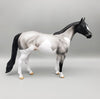 Ajax - OOAK - Blue Roan Splash Ideal Stock Horse by Angela Marleau EQ23