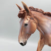 Alfalfa - LE30 - Chestnut Appaloosa Mule By Dawn Quick EQ23