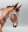 Alfalfa - LE30 - Chestnut Appaloosa Mule By Dawn Quick EQ23