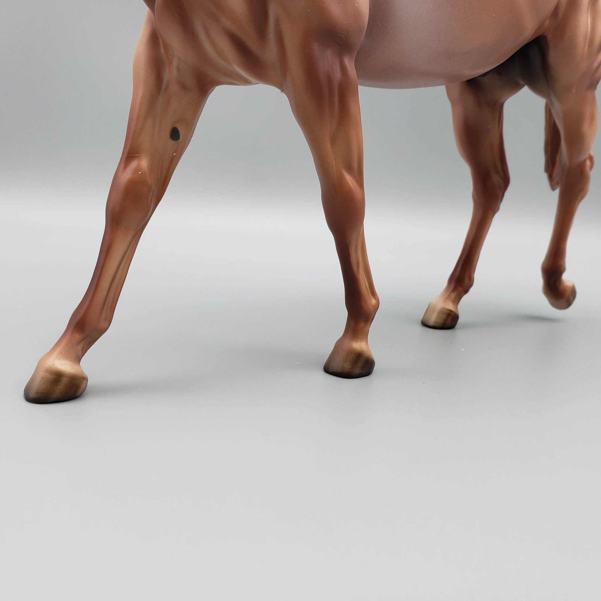 Alfalfa - LE30 - Chestnut Appaloosa Mule By Dawn Quick EQ23