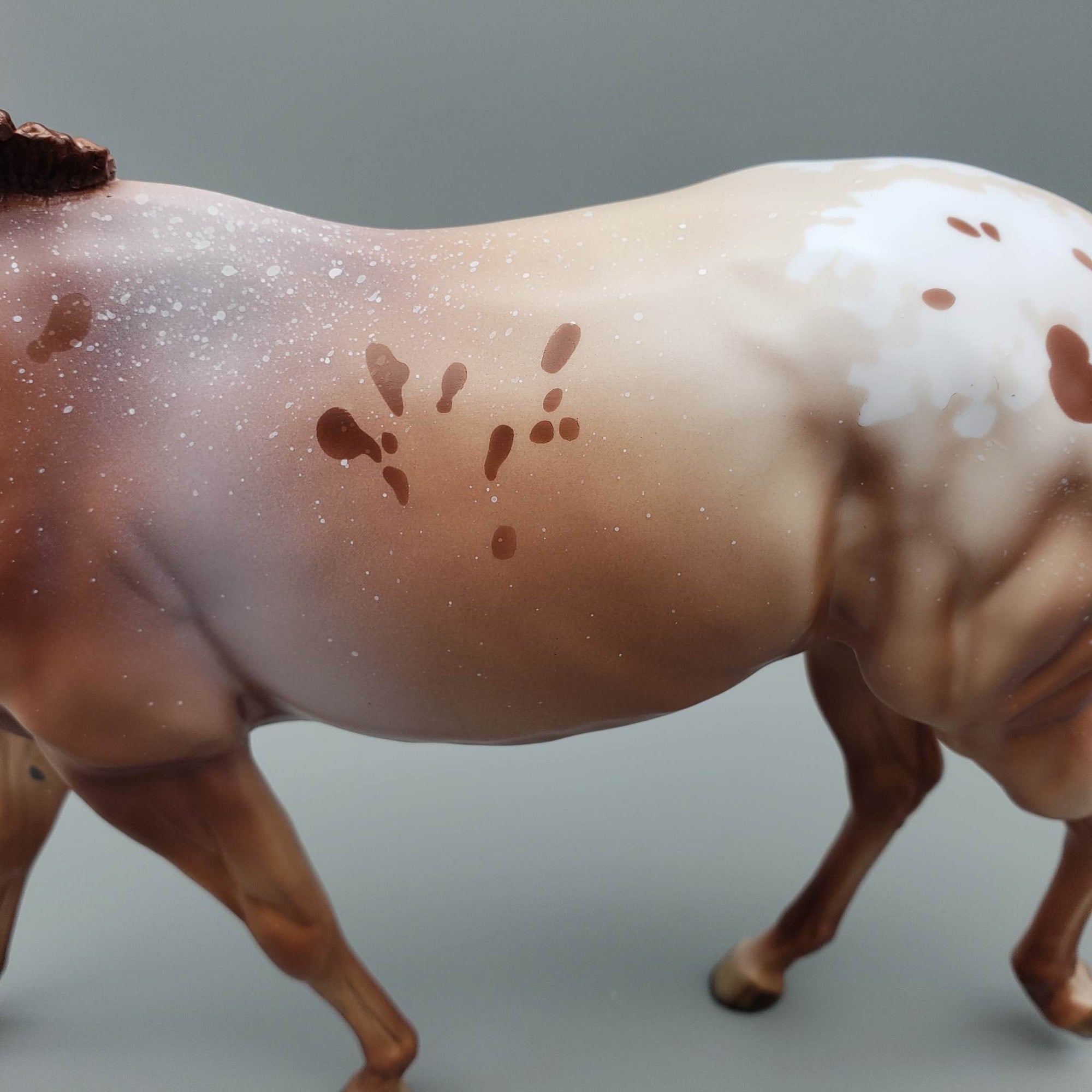 Alfalfa - LE30 - Chestnut Appaloosa Mule By Dawn Quick EQ23