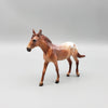 Mini Alfalfa - LE20 - Chestnut Appaloosa Mule Chip By Dawn Quick EQ23