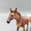 Mini Alfalfa - LE20 - Chestnut Appaloosa Mule Chip By Dawn Quick EQ23