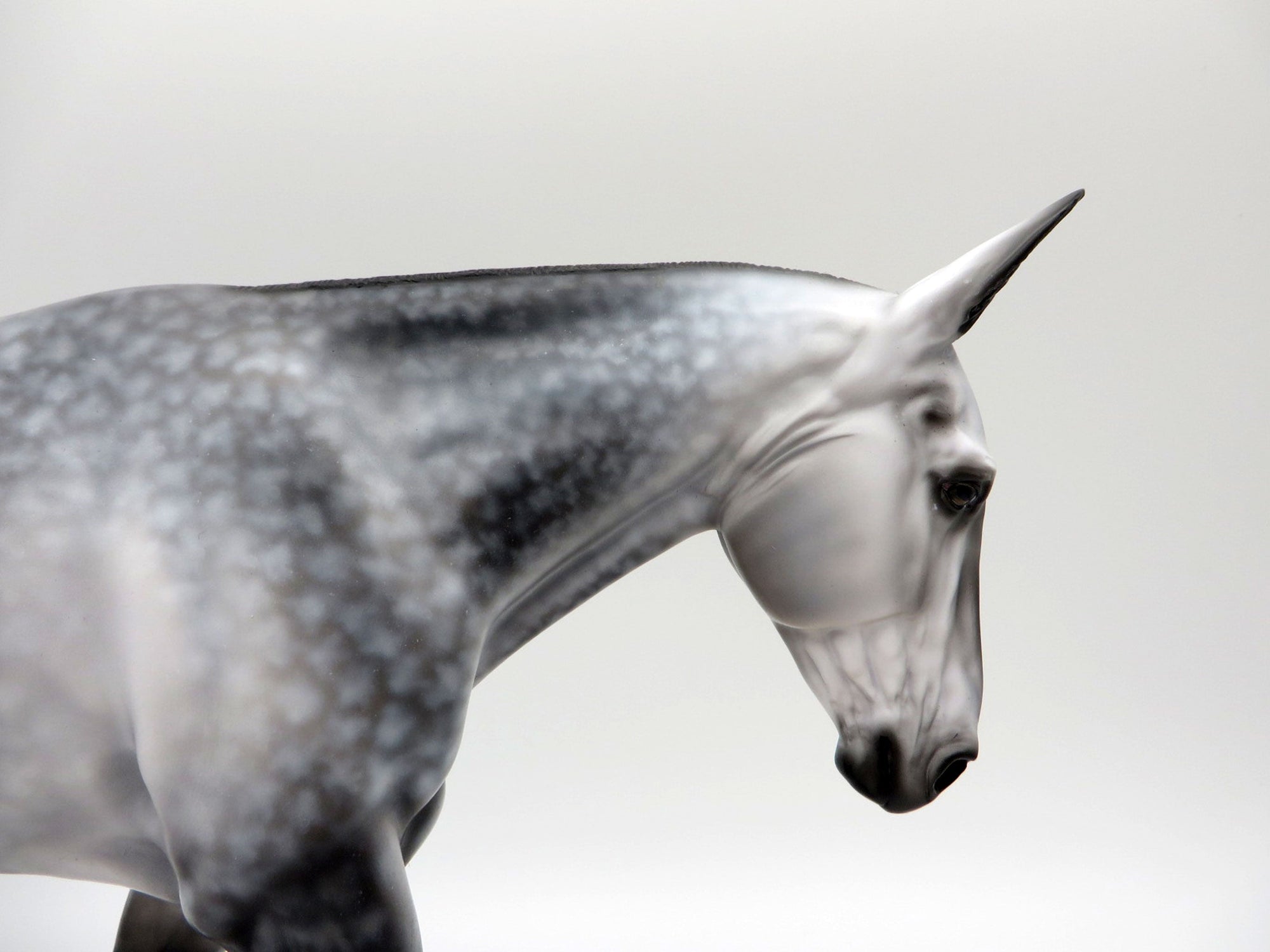 Alice-OOAK Dapple Grey Mule Painted by Audrey Dixon 10/18/2021