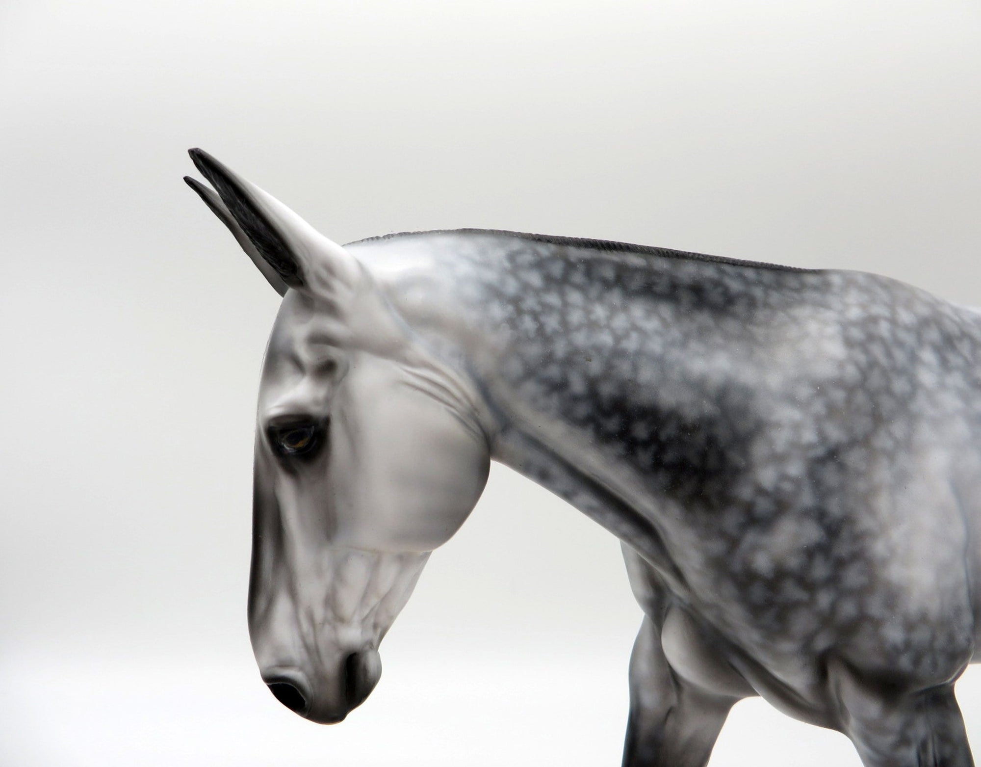 Alice-OOAK Dapple Grey Mule Painted by Audrey Dixon 10/18/2021