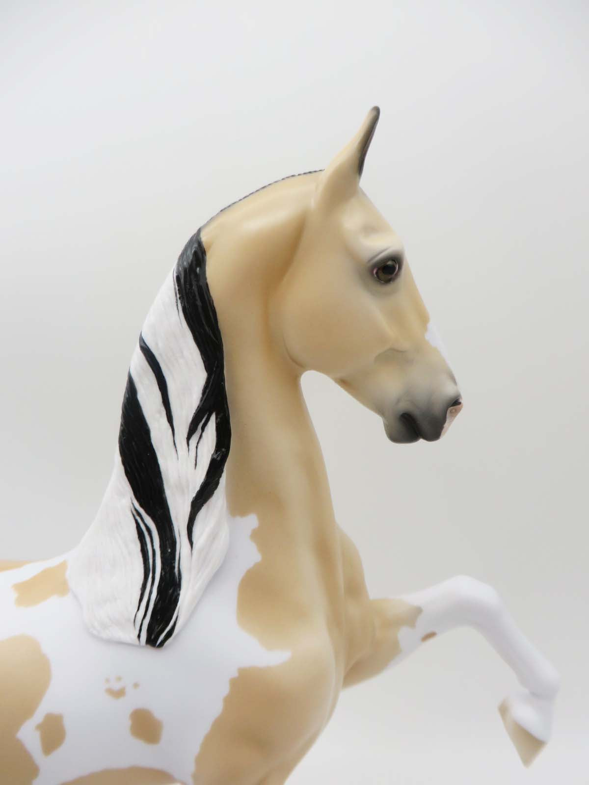 All Over Again  OOAK  Buckskin Tobiano Saddlebred By Ellen Robbins SHCF23