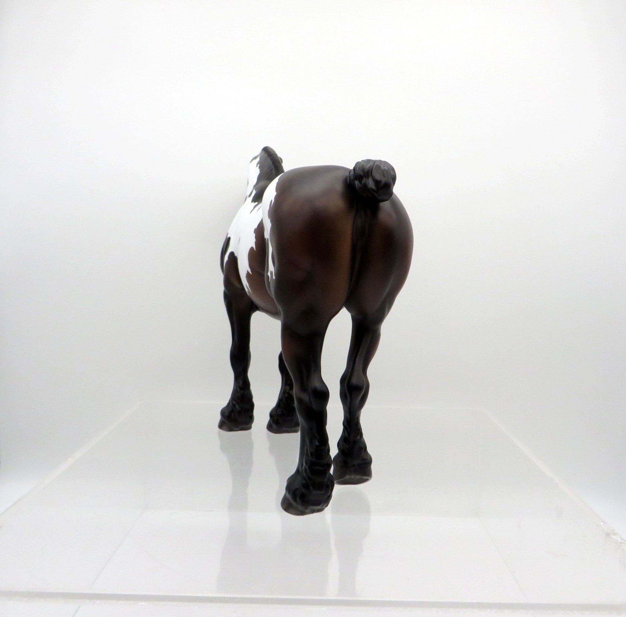 Allium-OOAK Bay Heavy Drafter Mare  SHCF 2021