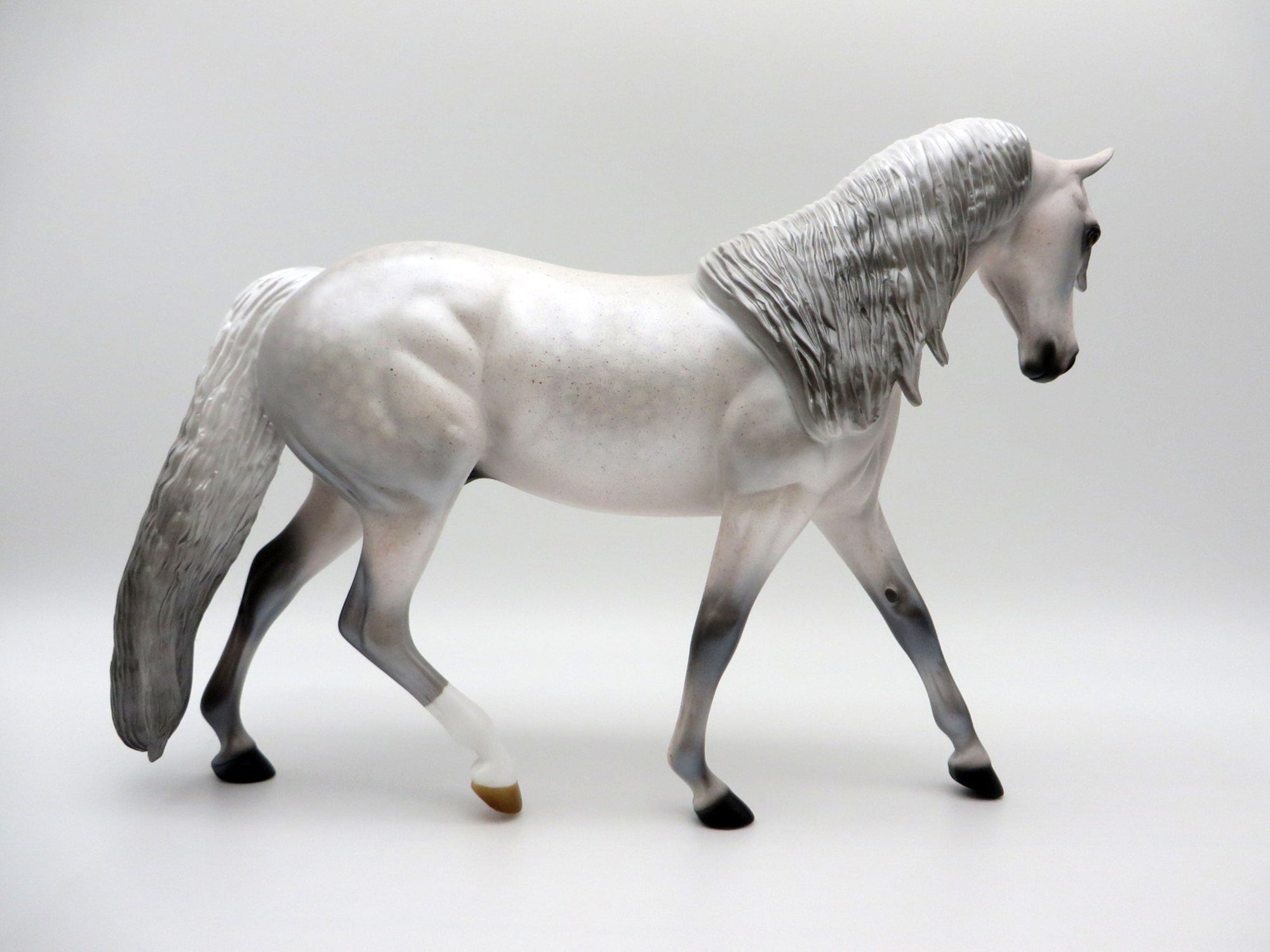 Altostratus-LE-6-Dapple Grey Pony SHCF 2021