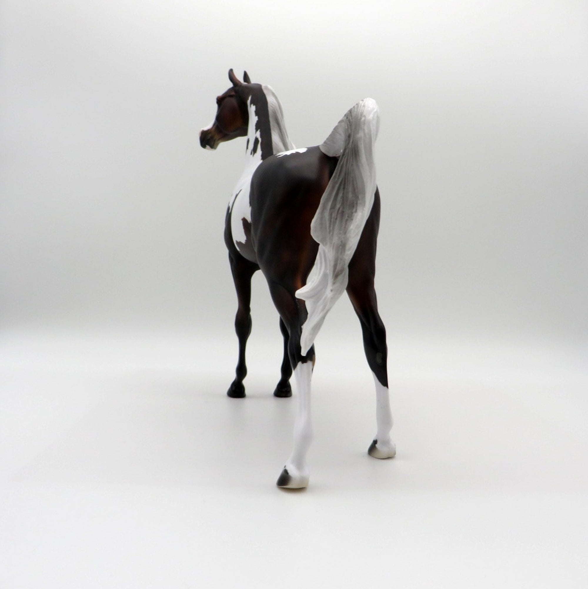 Alto-OOAK Blue Taffy Pinto Arabian  SHCF 2021