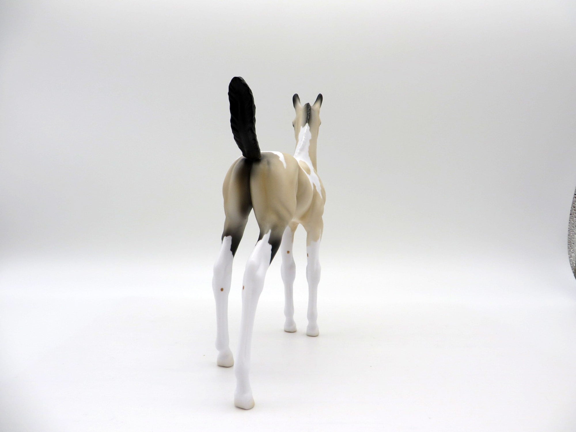 Amaya-LE-7 Buckskin Arabian Foal 4/16/21