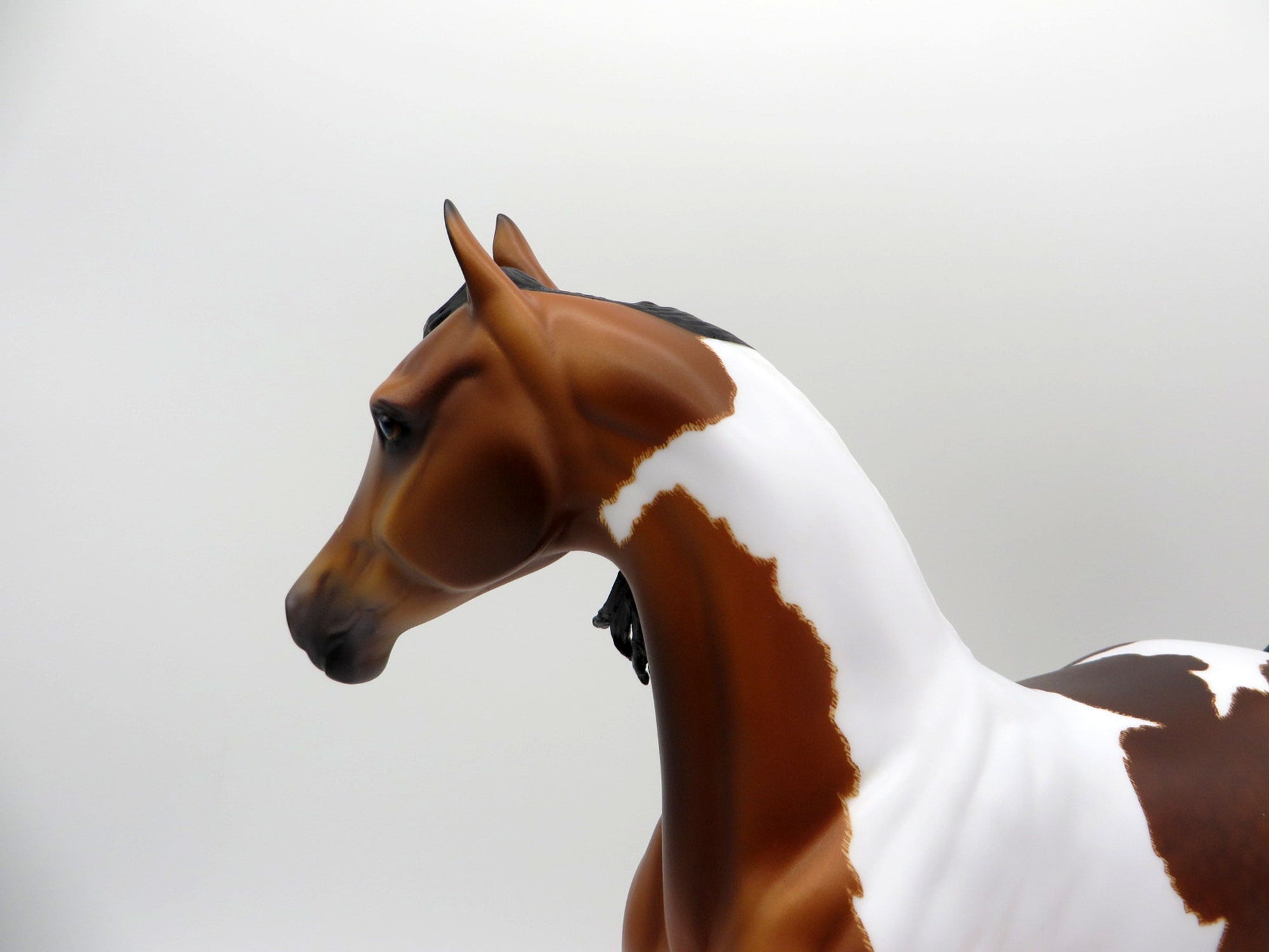 Amur-OOAK Dapple Etched Bay Pinto Painted by Caroline Boydston