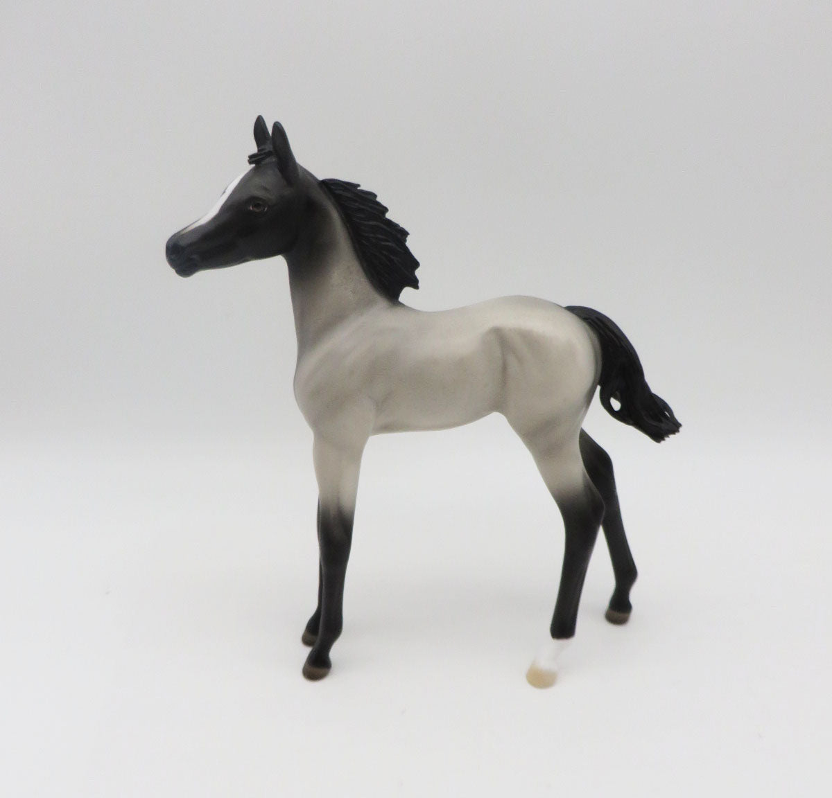 Anchovy -OOAK Roan Foal By Angela Marleau P&C 23