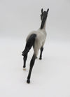 Anchovy -OOAK Roan Foal By Angela Marleau P&amp;C 23