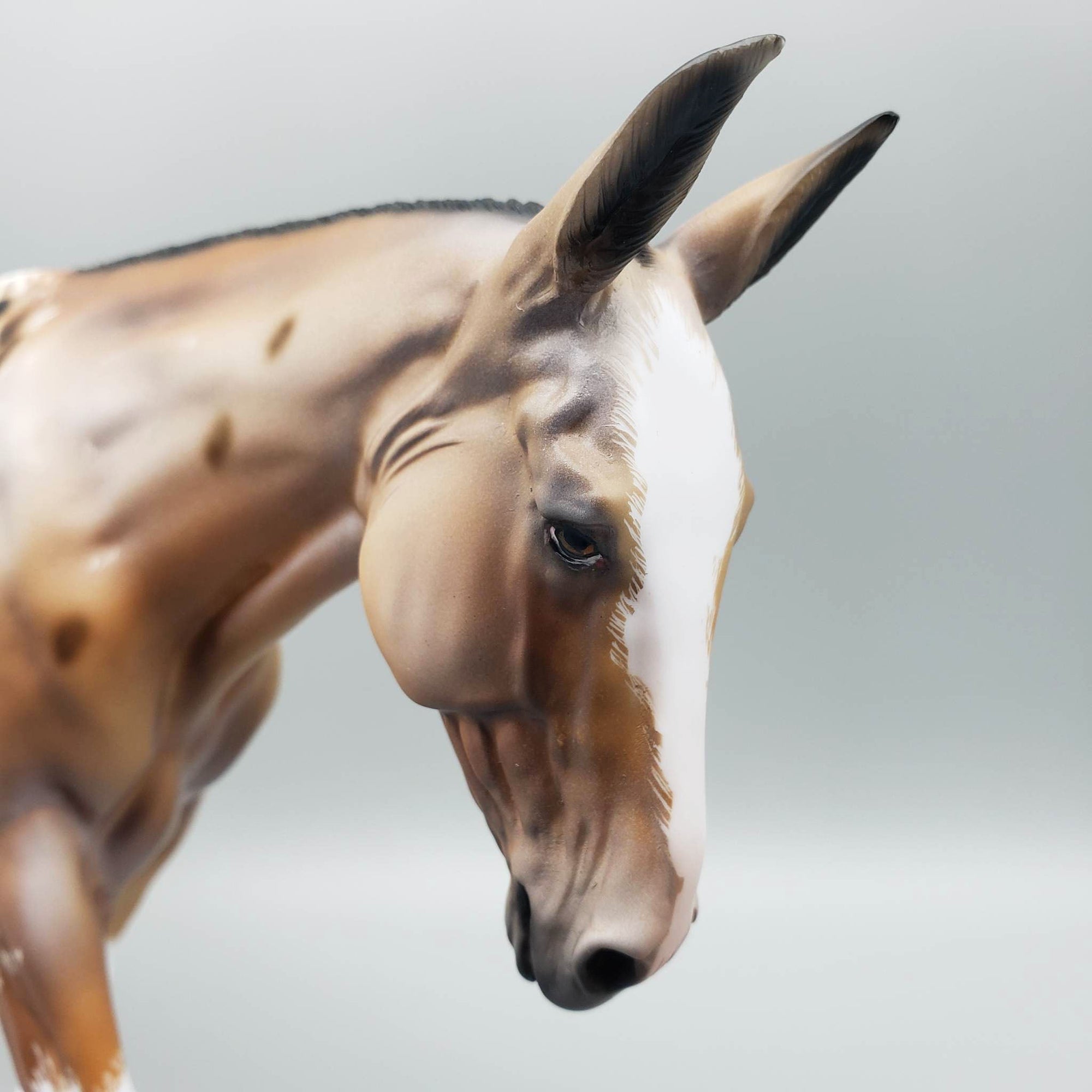 Angel - OOAK  Blanket Appaloosa Mule By Dawn Quick EQ23