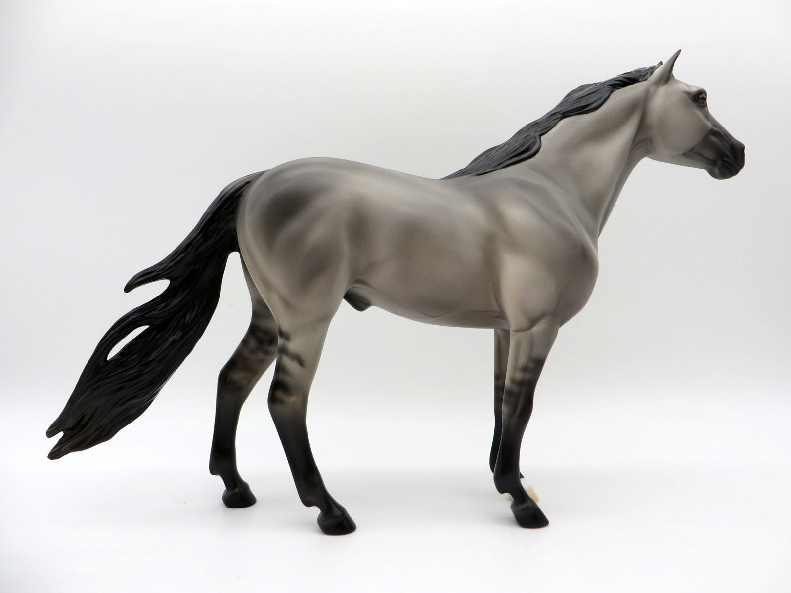 Anton-OOAK Grulla Spanish Mustang Painted by Ellen EQ 21