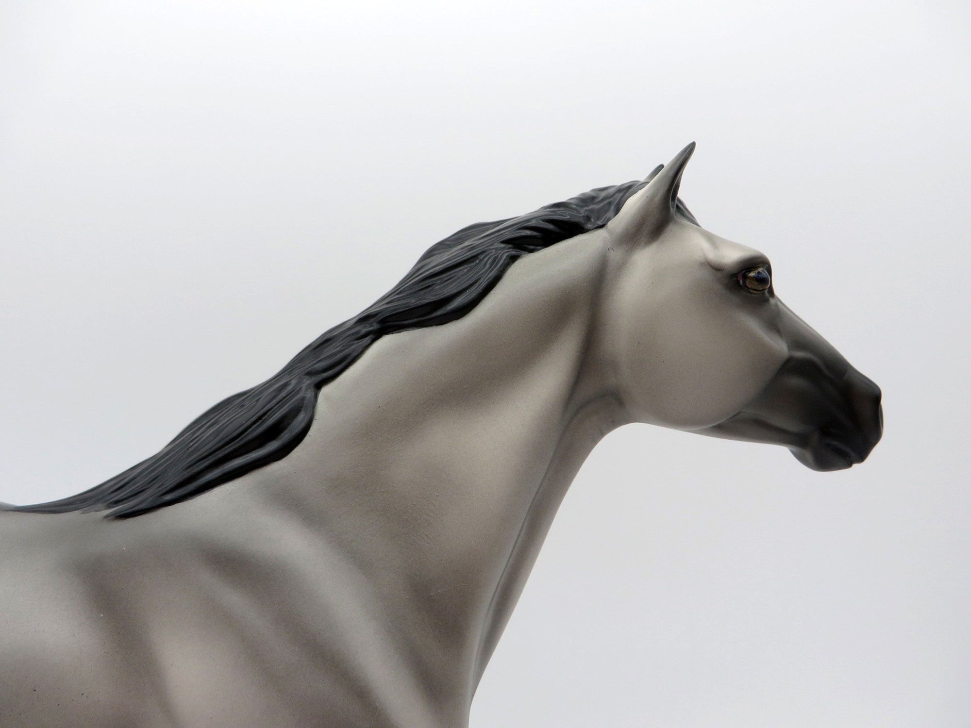 Anton-OOAK Grulla Spanish Mustang Painted by Ellen EQ 21