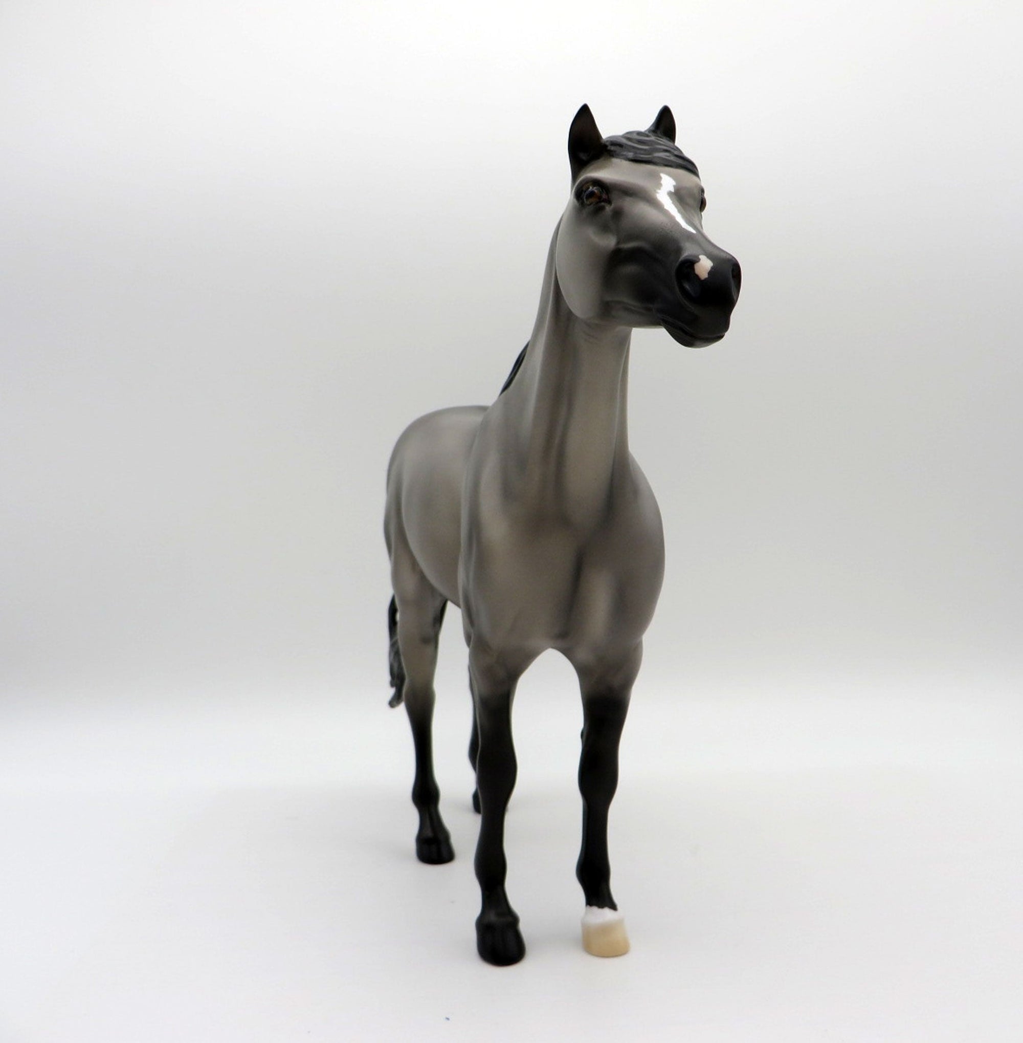 Anton-OOAK Grulla Spanish Mustang Painted by Ellen EQ 21