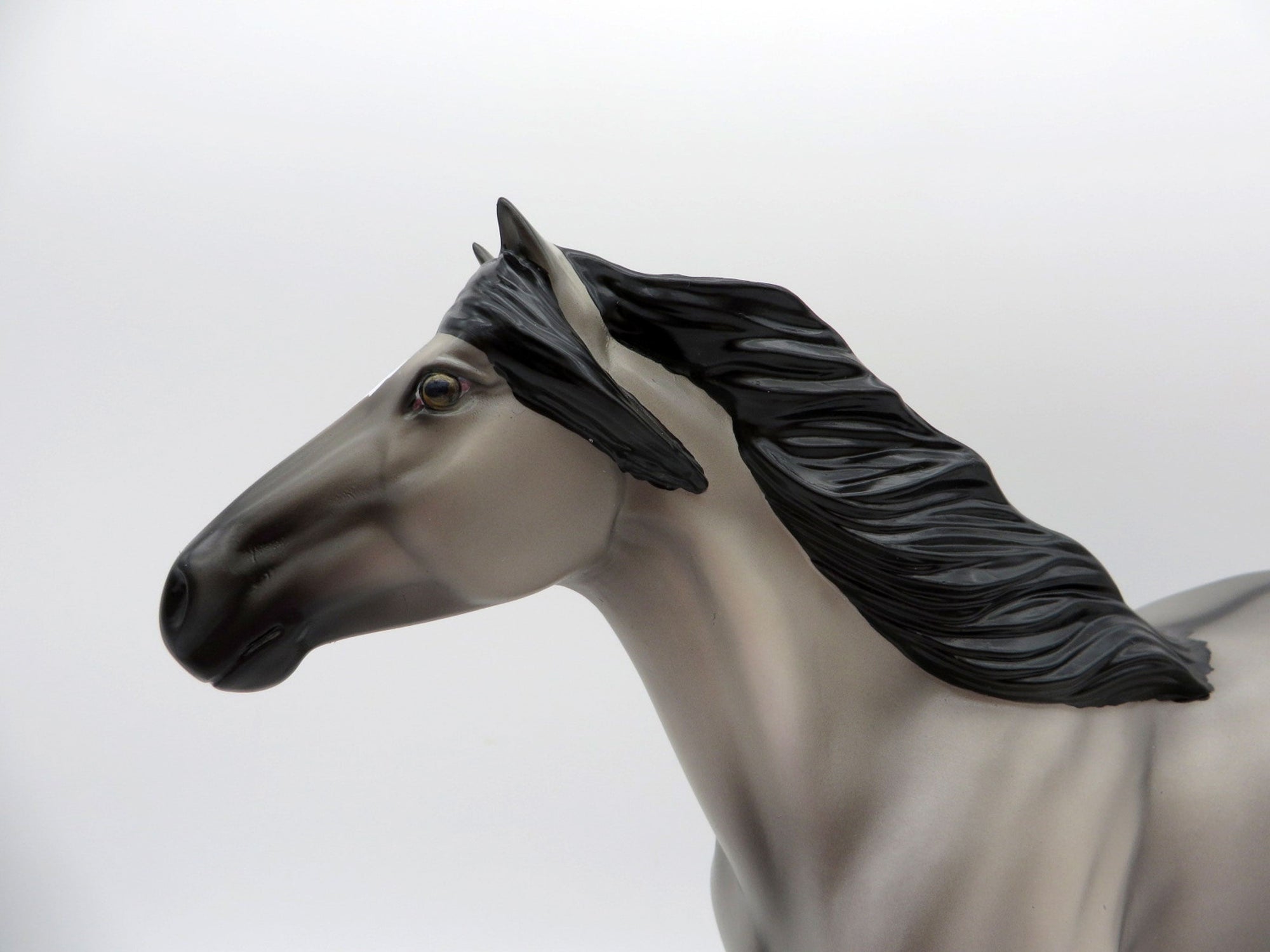 Anton-OOAK Grulla Spanish Mustang Painted by Ellen EQ 21