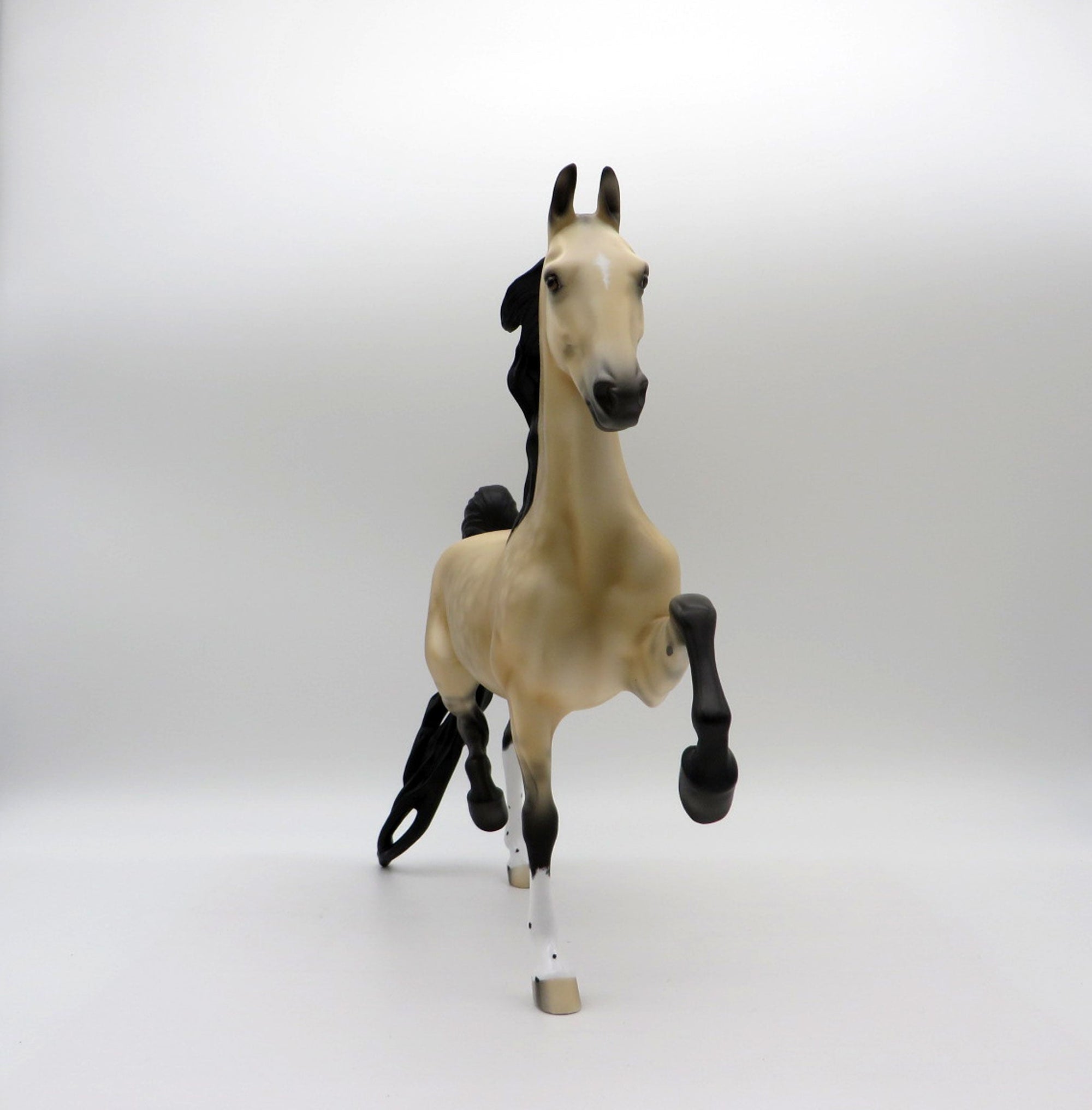 Anubis-OOAK Buckskin Saddlebred 5/14/21