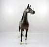 AOIFE-OOAK Dapple Bay Arabian Painted By Dawn Quick 4/13/21